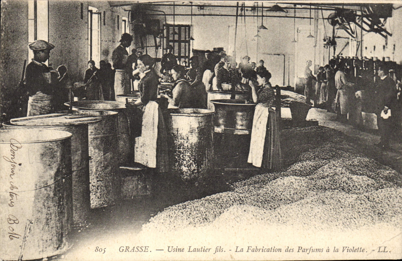 CPA Cueillette Grasse Usine Lautier Fils La fabrication des parfums a la violette TOP 