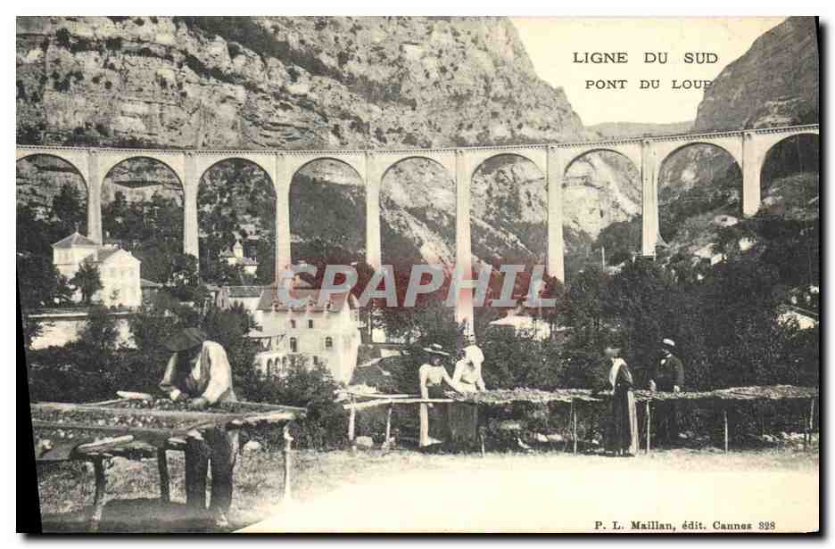 CPA Cueillette Ligne du Sud Pont du loup TOP 