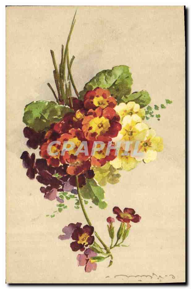 Bouquet de primevères — édition STF — n° 1349