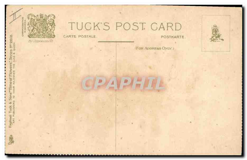 Moon Daisies and Hips — série 'Time of Flowers' — Tuck & Sons — Verso