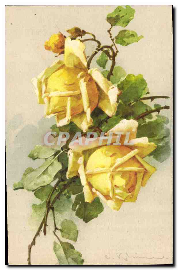 Rosiers jaunes — aquarelle — E. Vlais — n° 1247