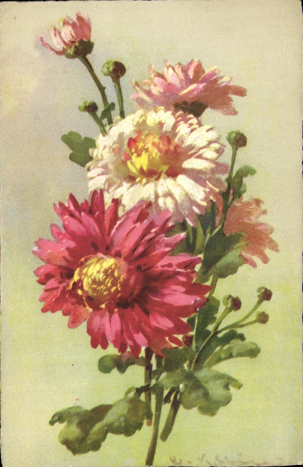 CPA Fantaisie Illustrateur Fleurs 