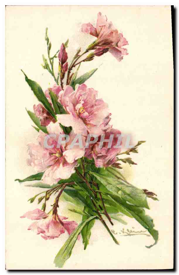 CPA Fantaisie Illustrateur Fleurs 