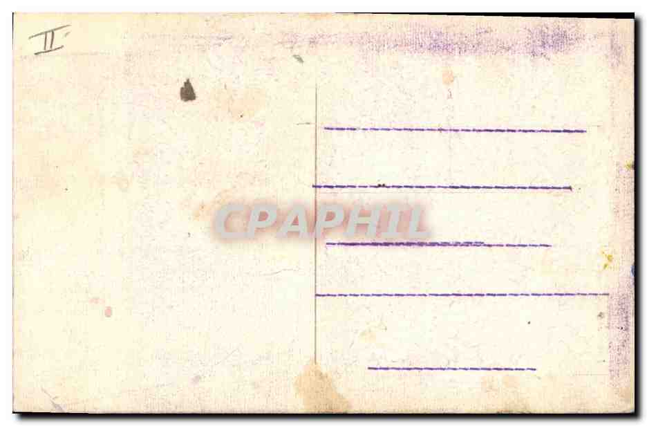 CPA Fantaisie Oiseau Perroquet  — Rückseite