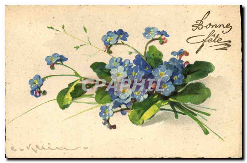 Bouquet de fleurs bleues — Bonne fête — E. V. Klein