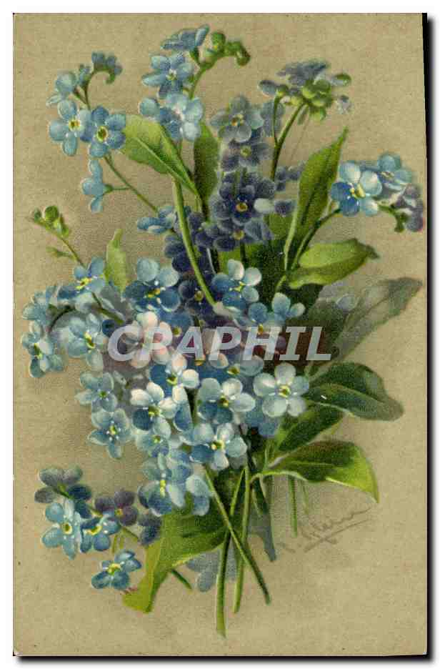 CPA Fantaisie illustrateur Fleurs 