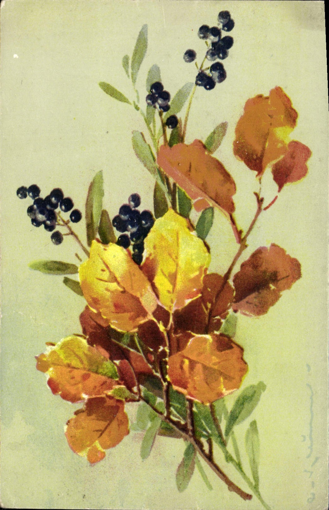 Bouquet d'automne — feuilles et baies — éditeur non visible
