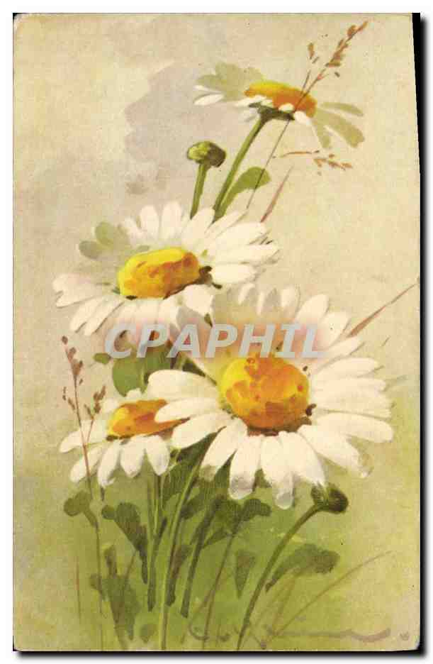 CPA Fantaisie illustrateur Fleurs 