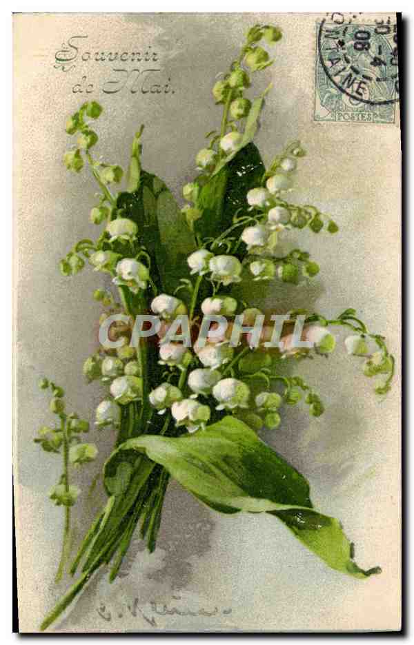 CPA Fantaisie illustrateur Fleurs 
