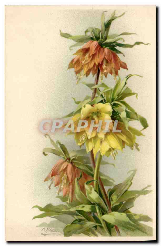 CPA Fantaisie illustrateur Fleurs 