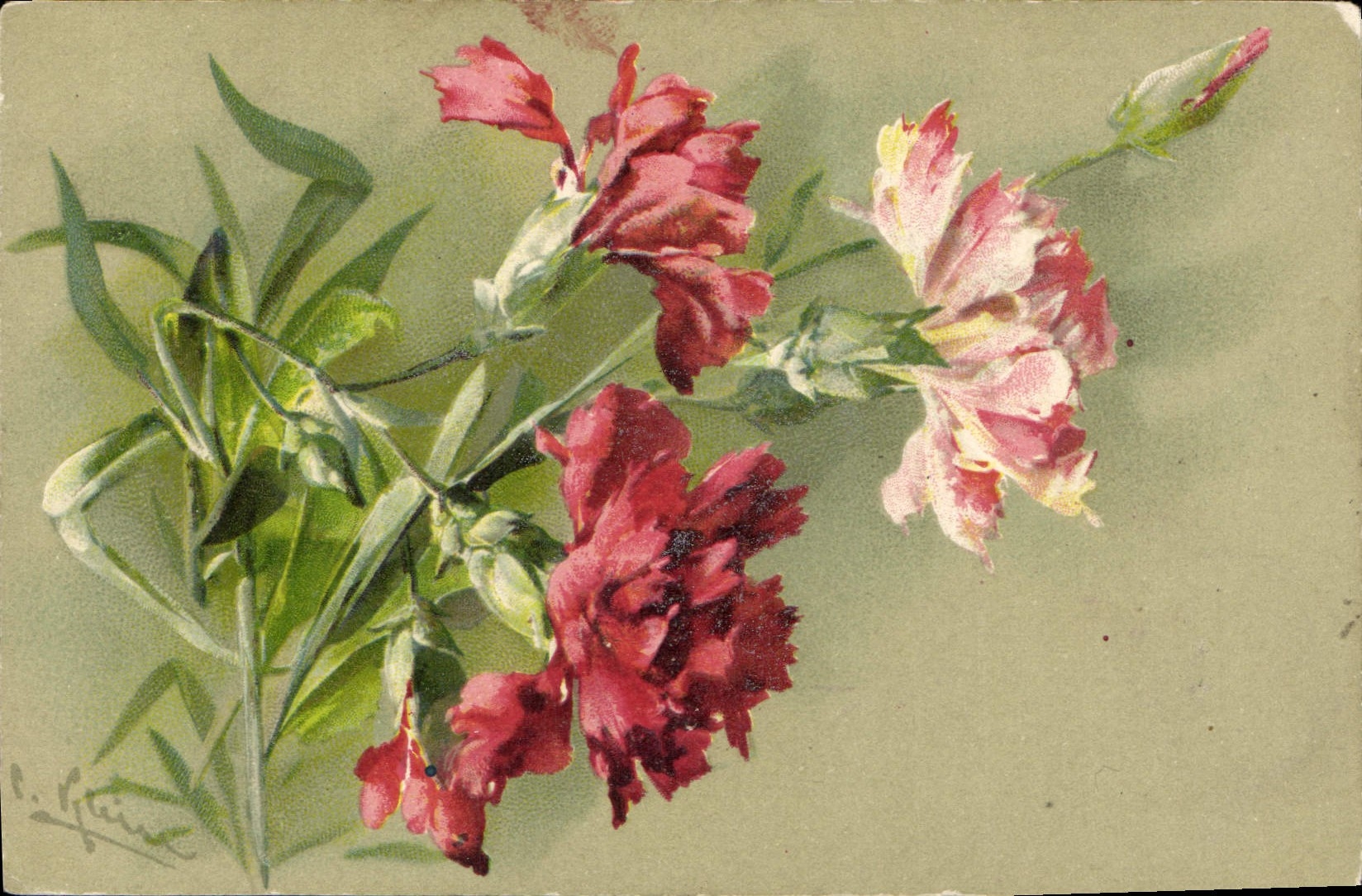 CPA Fantaisie illustrateur Fleurs 