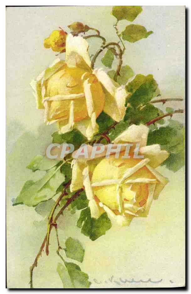 CPA Fantaisie illustrateur Fleurs 