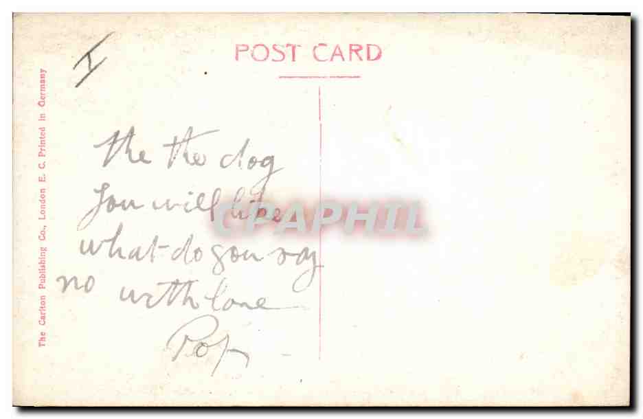 Chien poodle — coiffé d'un ruban rouge — The Carlton Publishing Co., London E.C. Printed in Germany — Verso