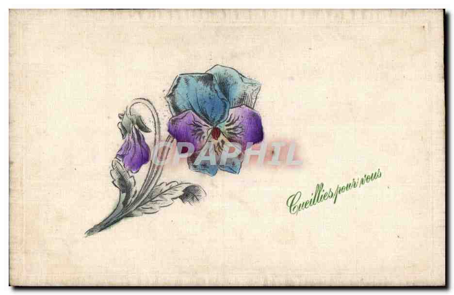 Fish — Forget-Me-Not — CPAPHIL