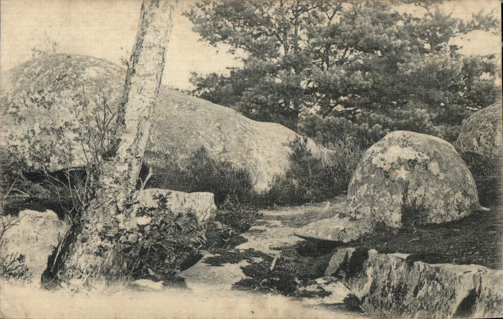 Paesaggio di rocce e pini — editore sconosciuto, numero di serie non visibile