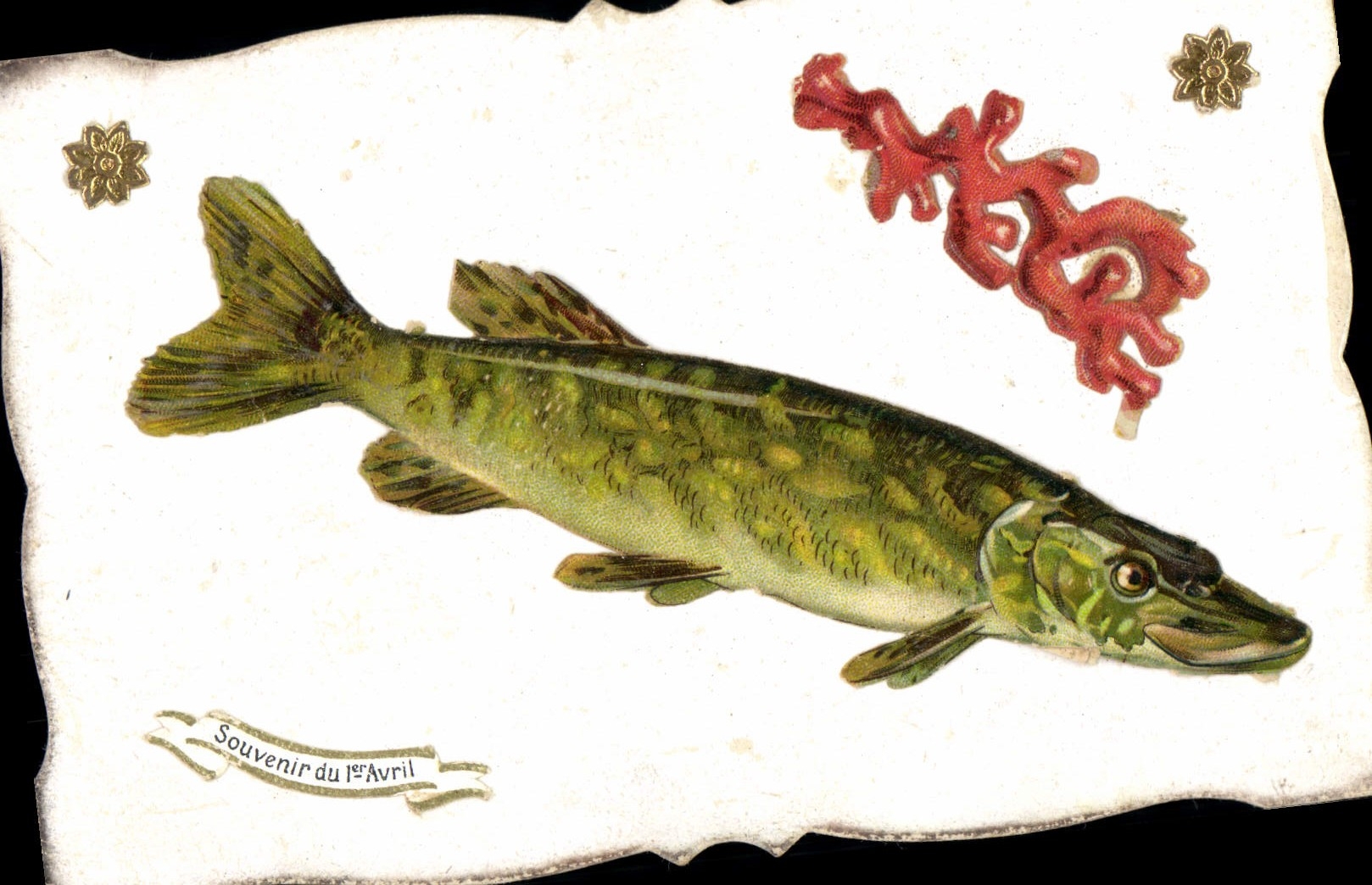 CPA Fantaisie Fleurs Poisson 