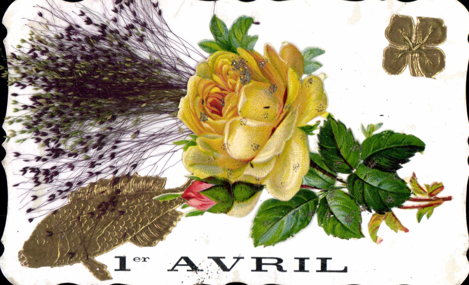 Fiori e lavanda — 1° APRILE — editore non visibile