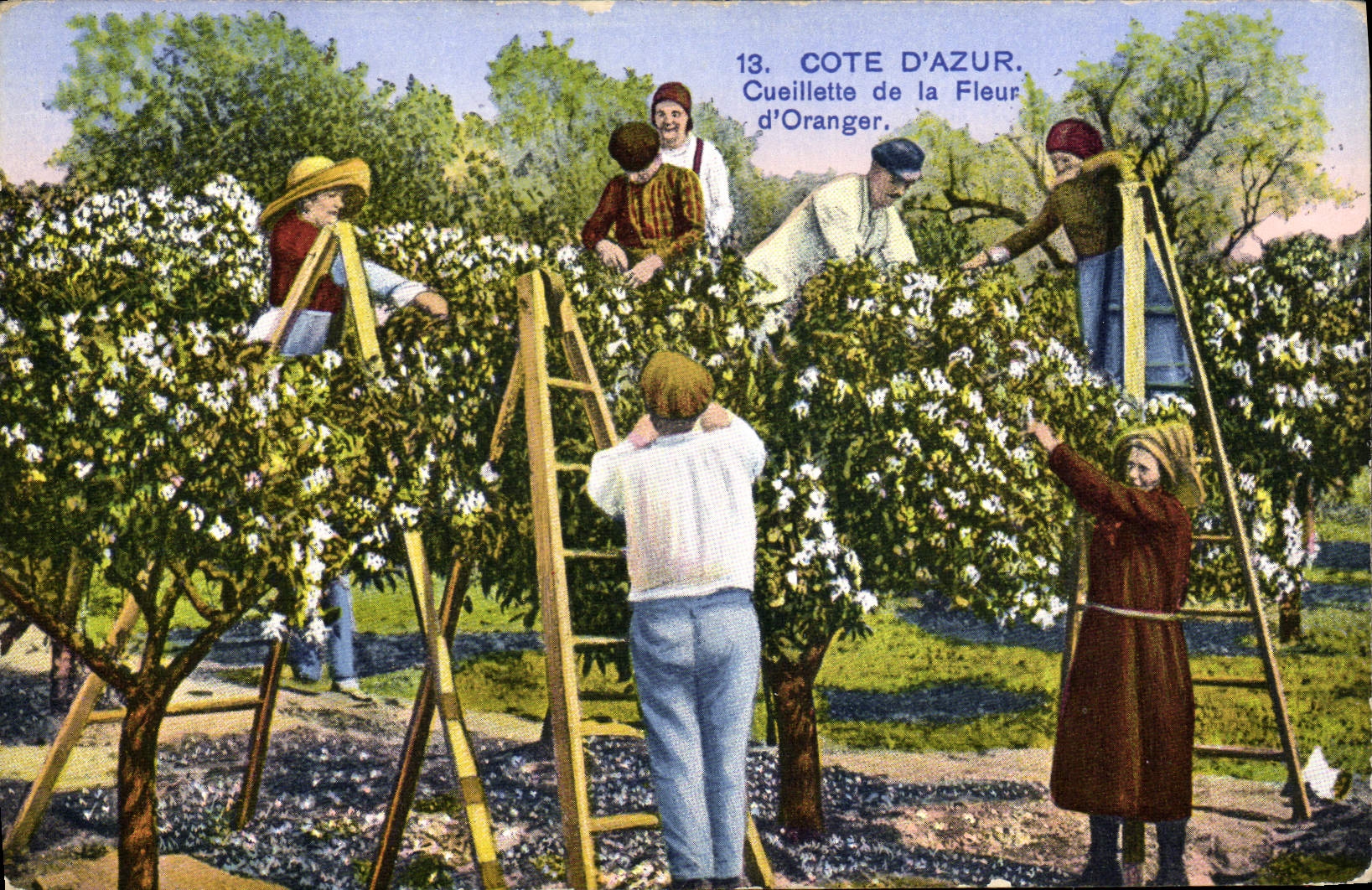 Côte d'Azur — Cueillette de la Fleur d'Oranger — Imprimé en Allemagne