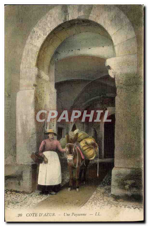 CPA Cueillette Une paysanne Cote d'Azur TOP Ane Mule