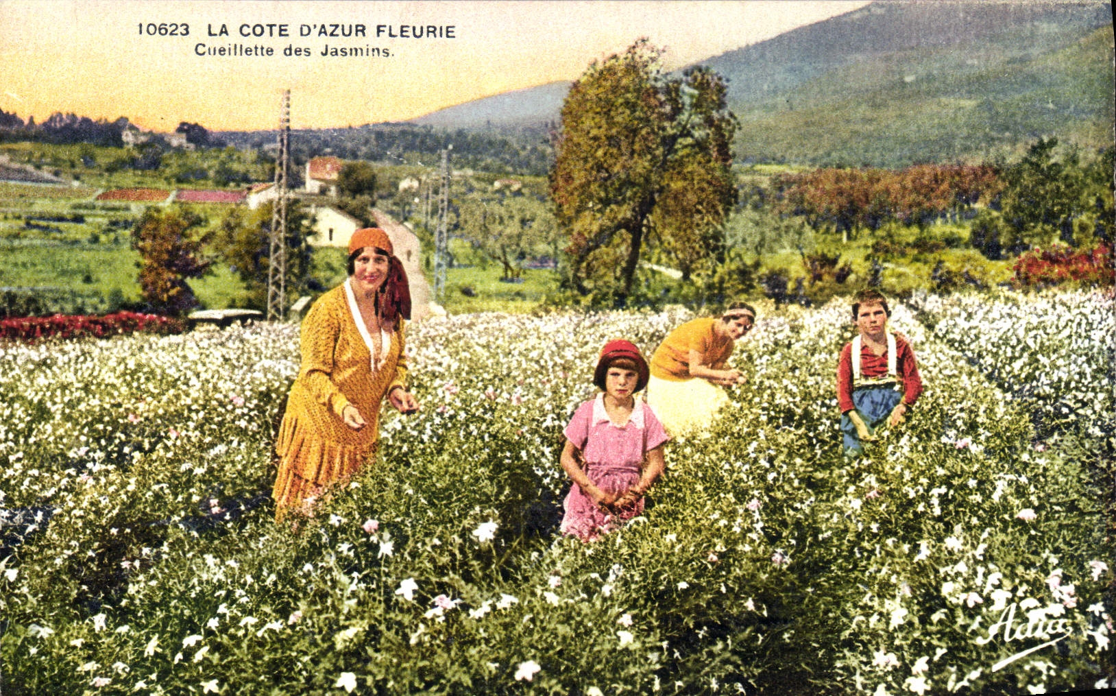 CPA Cueillette des jasmins Cote d'Azur