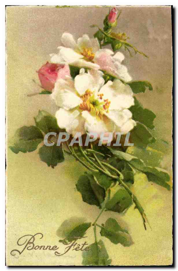 Bouquet de roses — texte 'Bonne Fête' — éditeur CPAPHIL, n° 243
