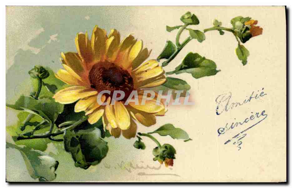 Tournesol — illustration — CPAPHIL n°2107