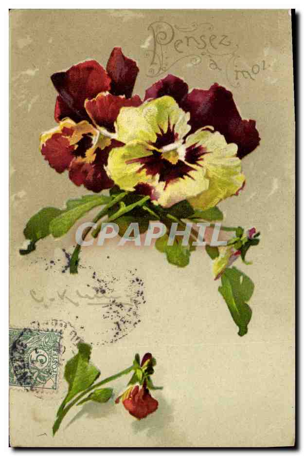 CPA Fantaisie Illustrateur Fleurs 