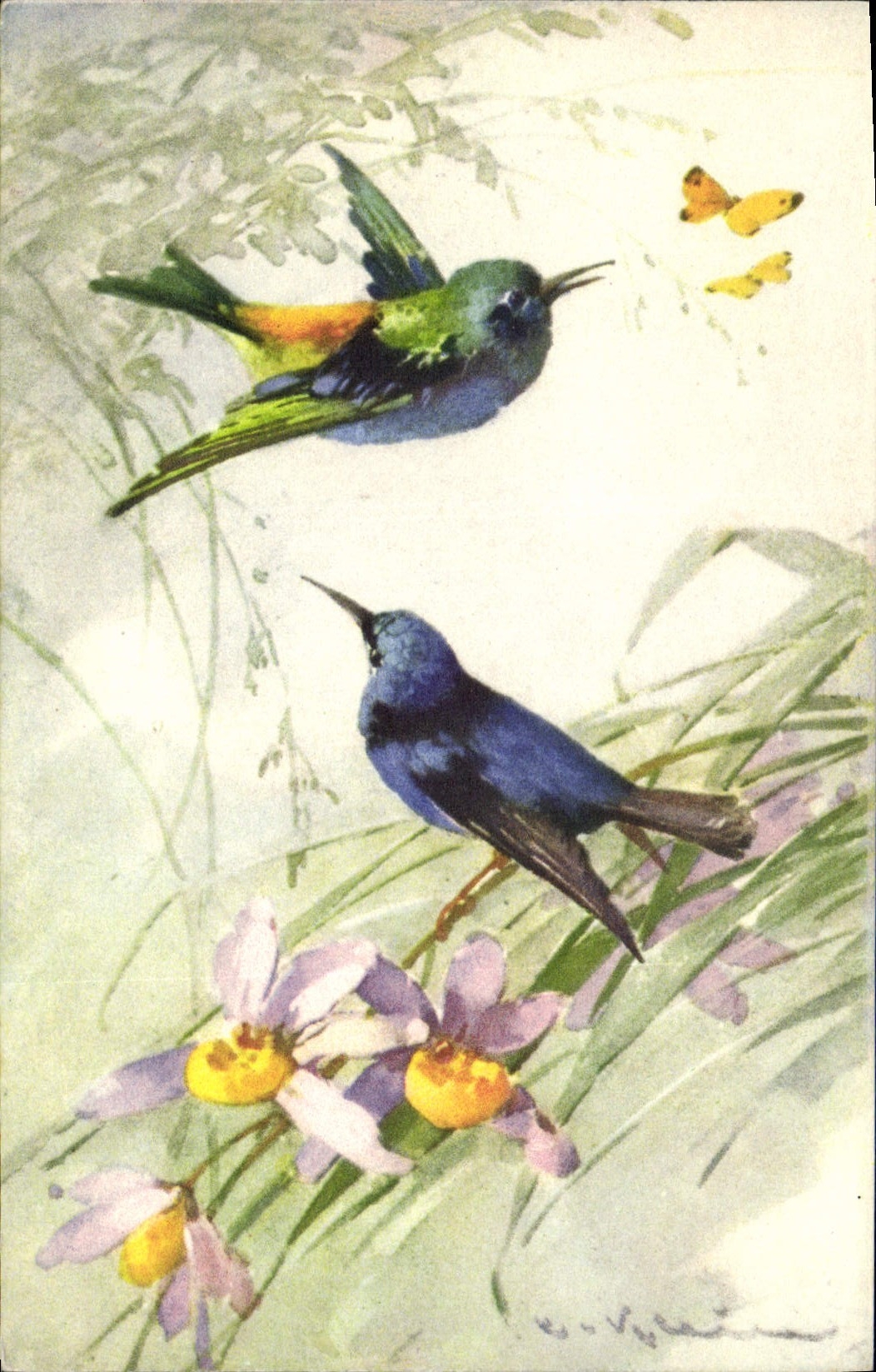 Oiseaux et papillons — illustration — E. V. S. (signature visible)