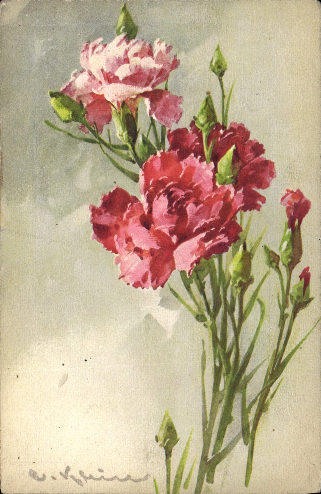 Bouquet de pivoines — illustration à l'aquarelle — éditeur STP, n° 1354