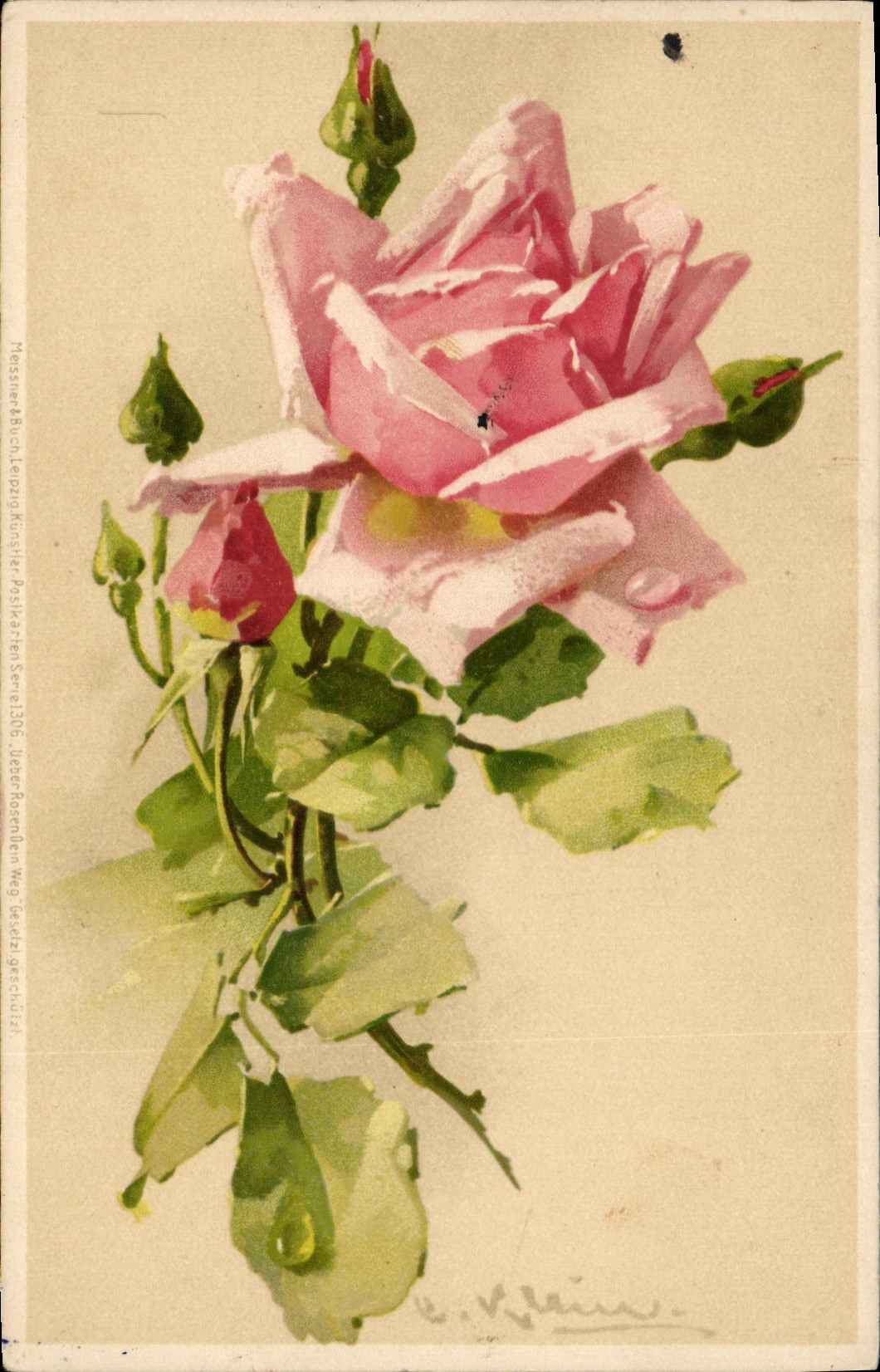 Rosier — illustration à l'aquarelle — Fleischer-Buch, Leipzig, Série 1306