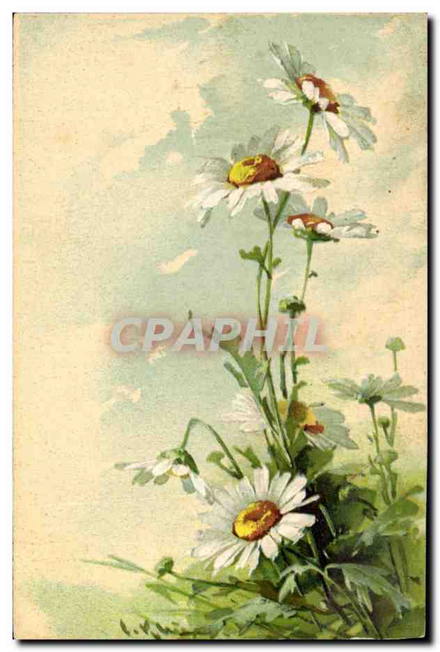 CPA Fantaisie Illustrateur Fleurs 