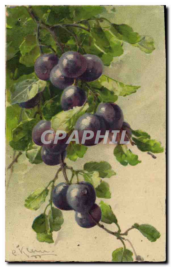 CPA Fantaisie Illustrateur Fruits 