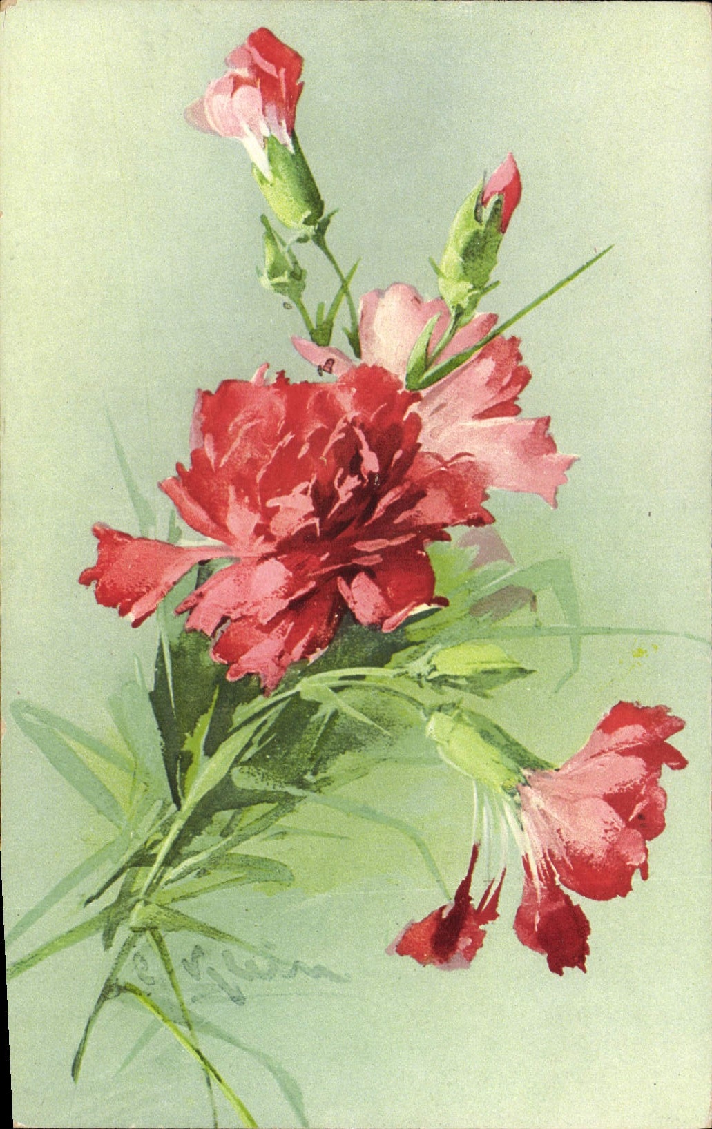 Bouquet de pivoines — illustration à l'aquarelle — éditeur CPAPHIL, n° 853