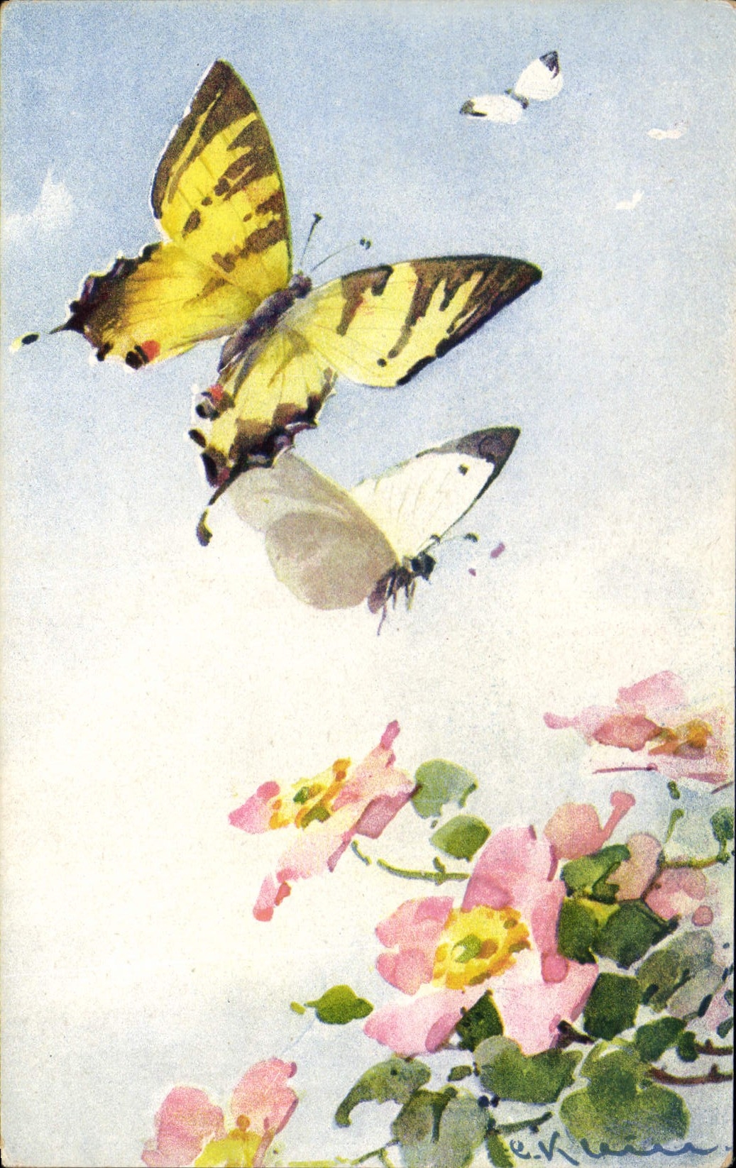 Papillons et roses — illustration — E.V. Kuehner, série n° 1184