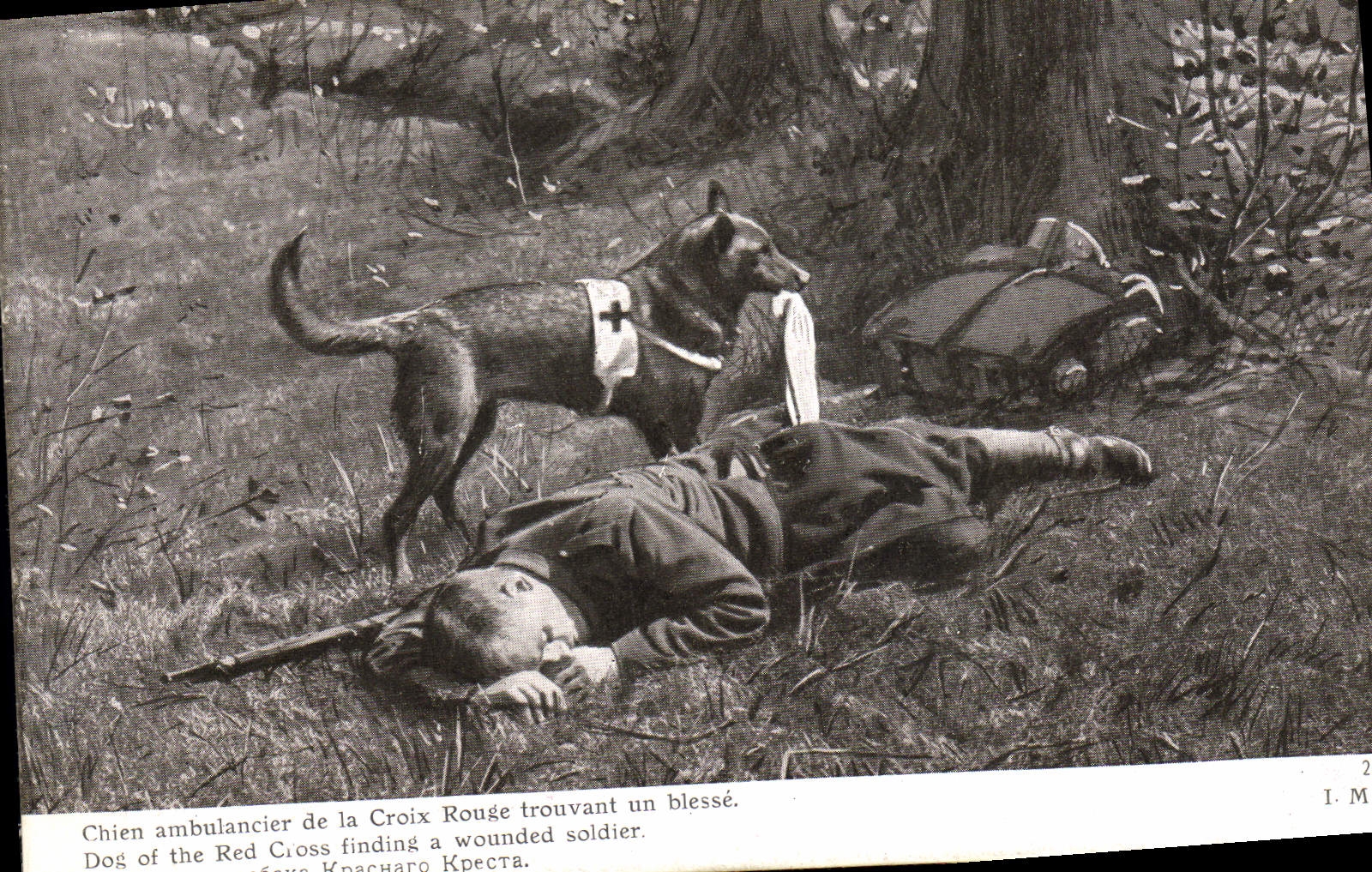 Chien ambulancier de la Croix Rouge trouvant un blessé — Édition Patriotique — Imprimerie Lataud, Paris