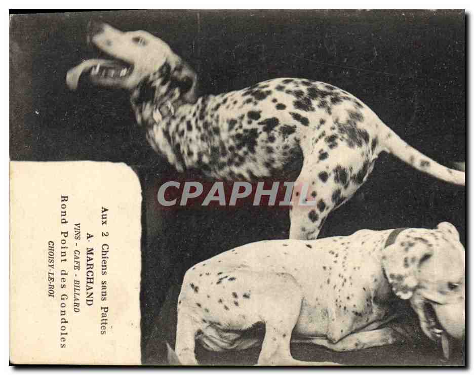 Chiens sans Pattes — A. Marchand, Choisy-le-Roi — éditeur A. Marchand