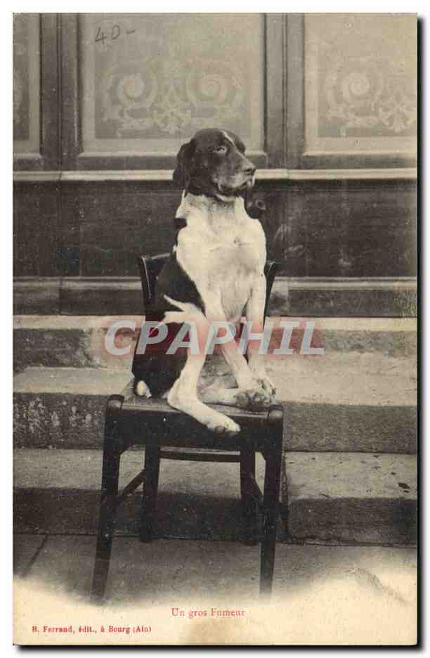 Un gros Fumeur — Chien assis sur une chaise — H. Ferrand, édit., à Bourg (Ain)