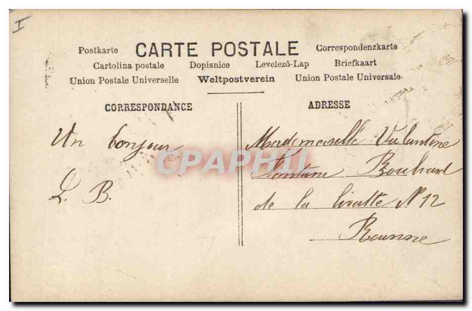 CPA Chien Chiens Femme  — Rückseite