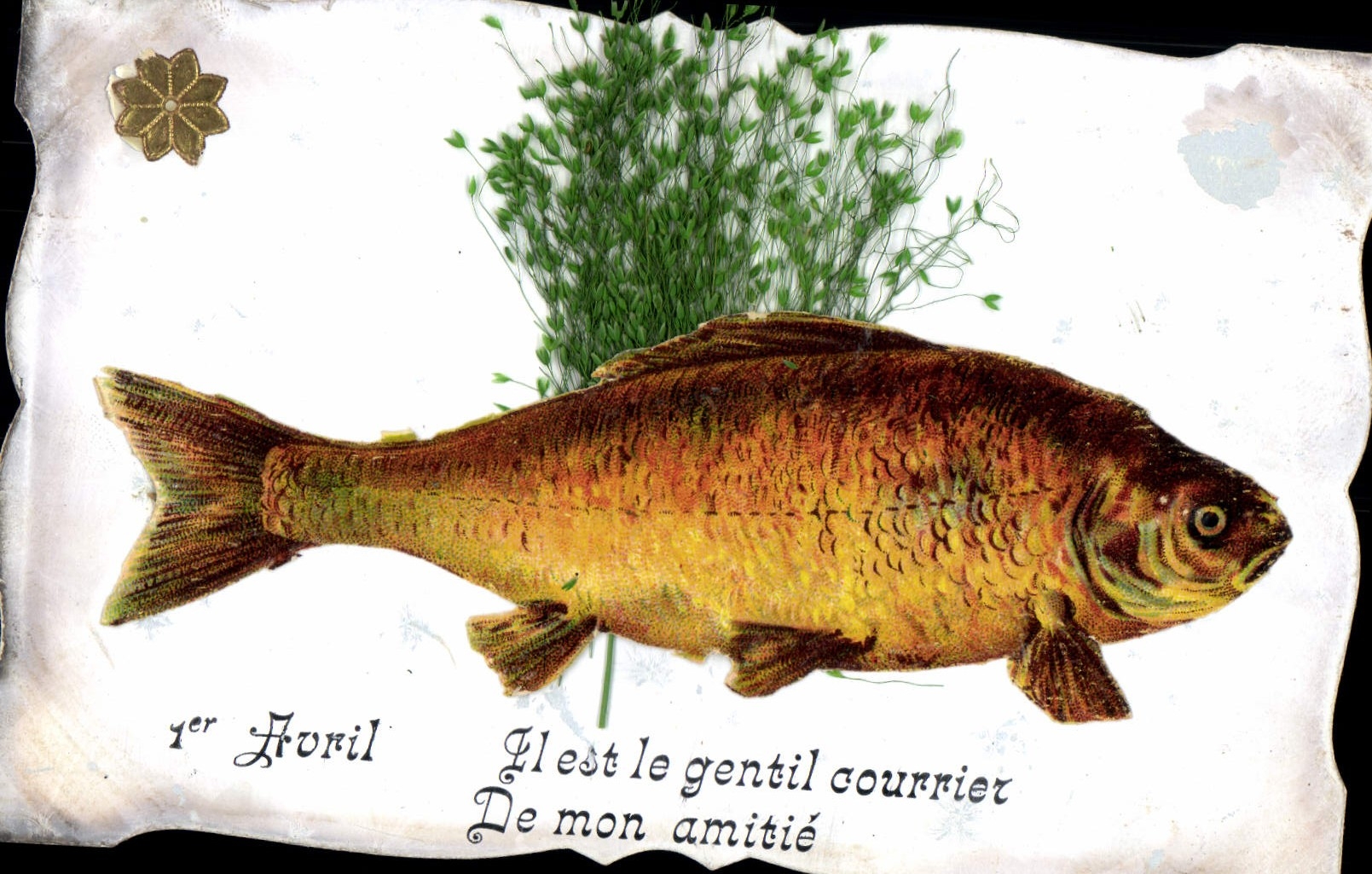 Poisson — 1er Avril — éditeur non visible