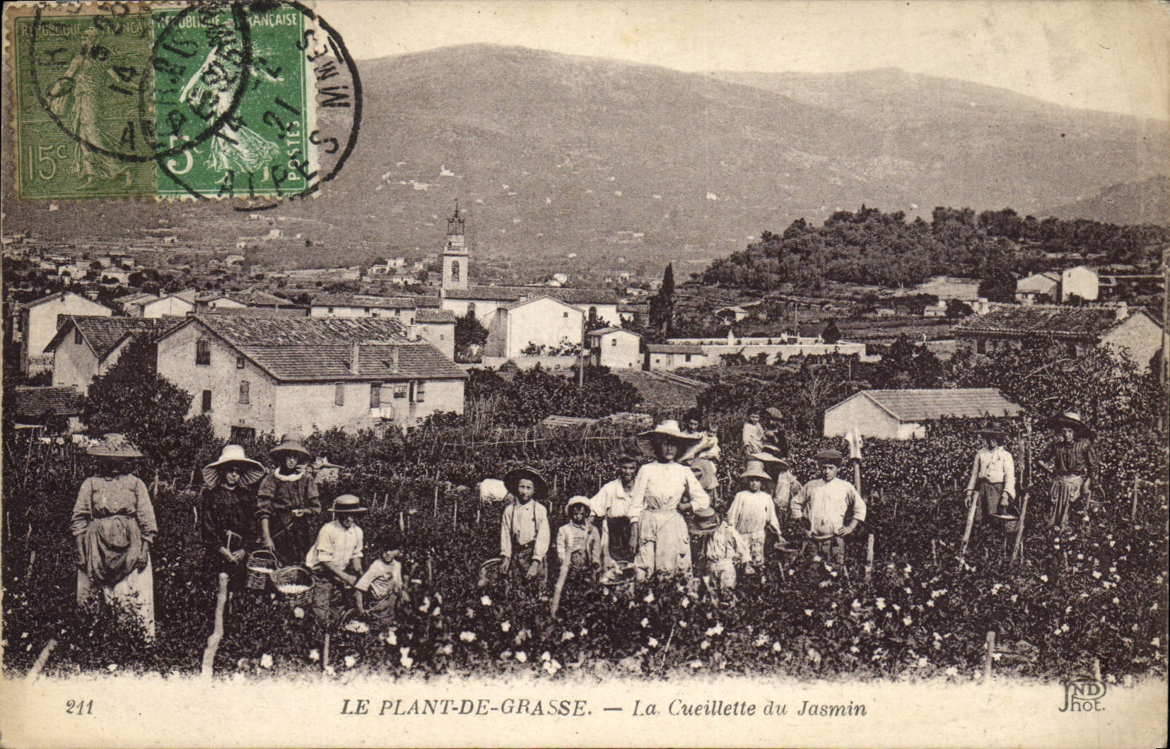 CPA Cueillette du jasmin Le Plant de Grasse 