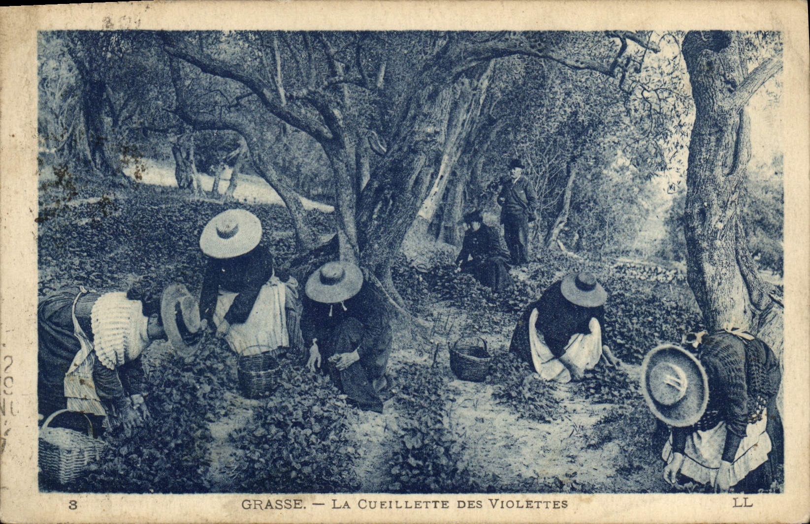 Grasse — La Cueillette des Violettes — LL