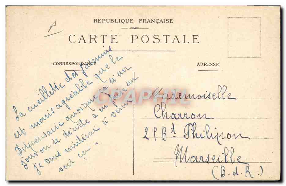 Cueillette des Fleurs de Jasmin — Parfumerie Bruno Court, Grasse — Achterkant
