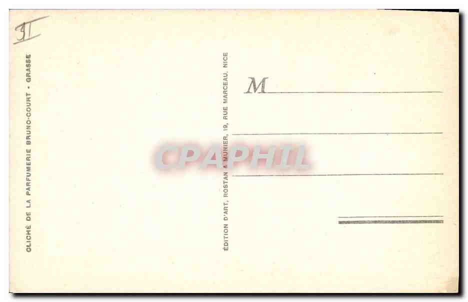 CPA Cueillette du jasmin Cote d'Azur  — Rückseite
