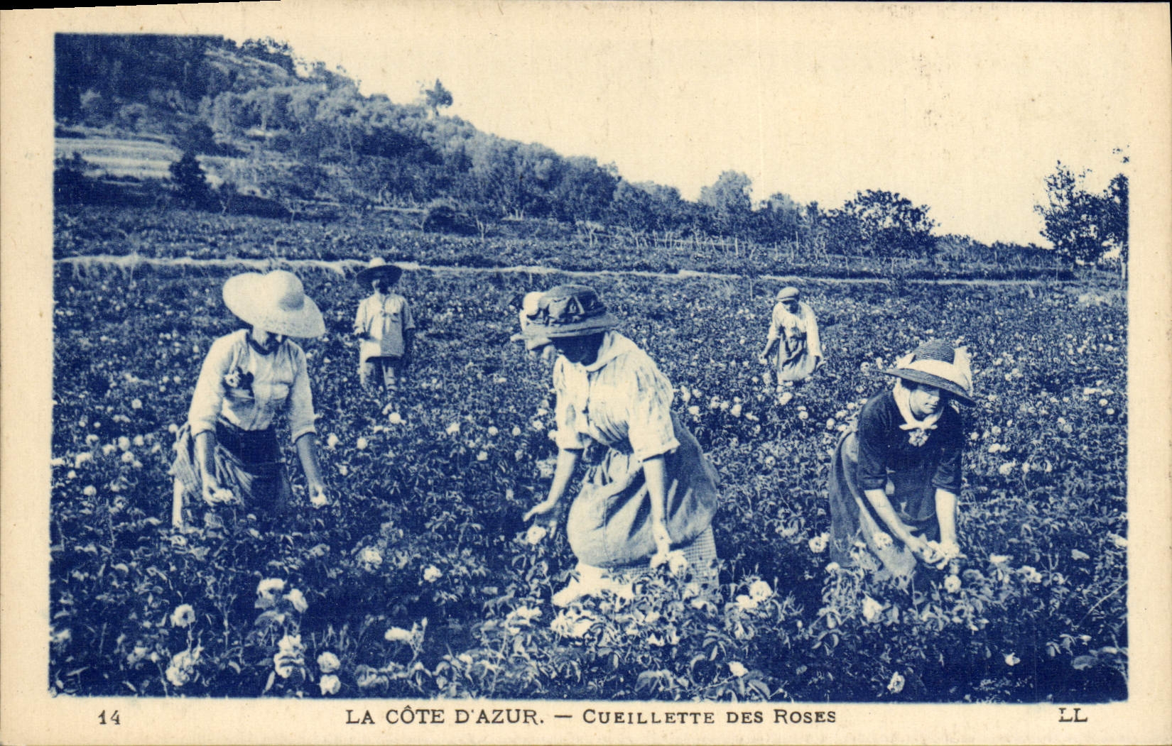 La Côte d'Azur — Cueillette des Roses — LL