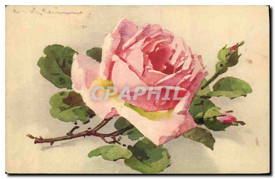 CPA Fantaisie Fleurs 