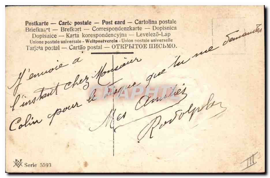 Rose blanche — dessin à l'aquarelle — C. Klein — PAF Série 5593 — Verso