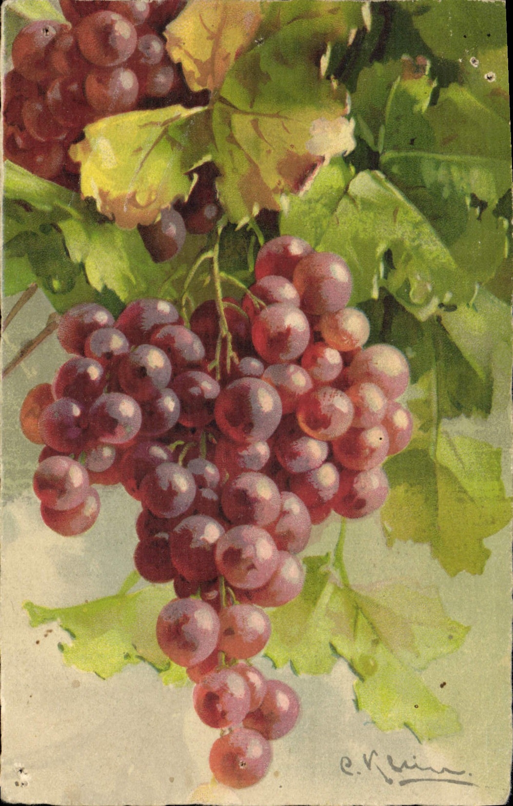 CPA Fantaisie Fleurs 