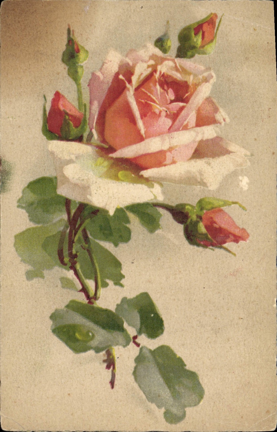 CPA Fantaisie Fleurs 