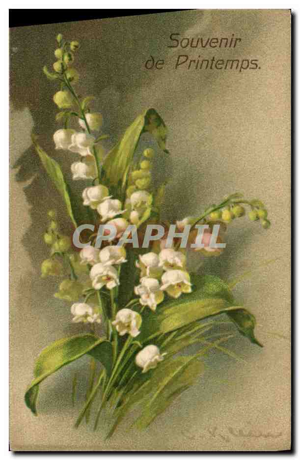 CPA Fantaisie Fleurs 