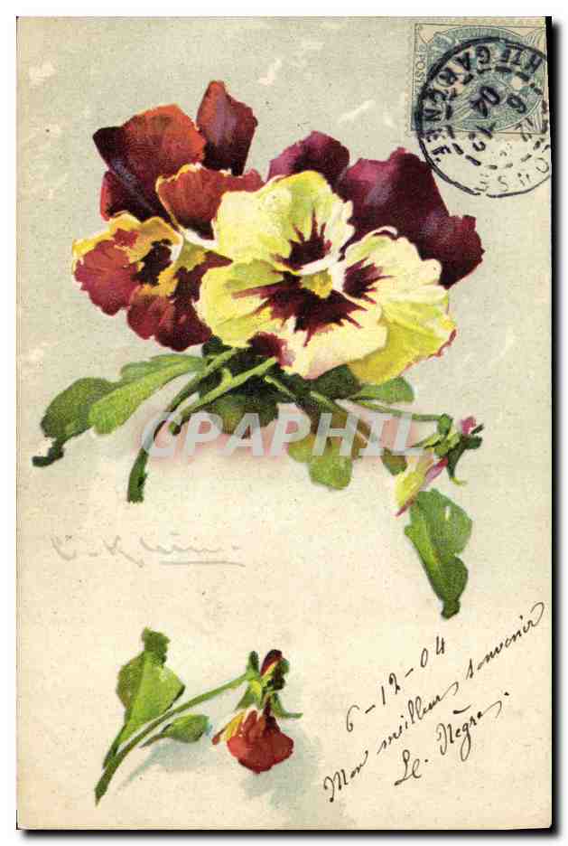 CPA Fantaisie Fleurs 